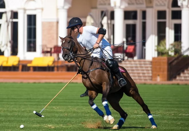Olahraga Polo: Teknik Dasar Memukul Bola dengan Presisi